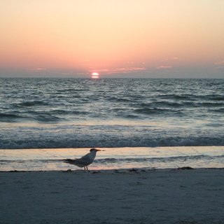 Marianne Skrettingland