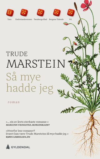 "Så mye hadde jeg roman" av Trude Marstein