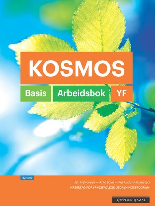 Kosmos YF - Arbeidsbok