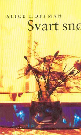 "Svart snø" av Alice Hoffman