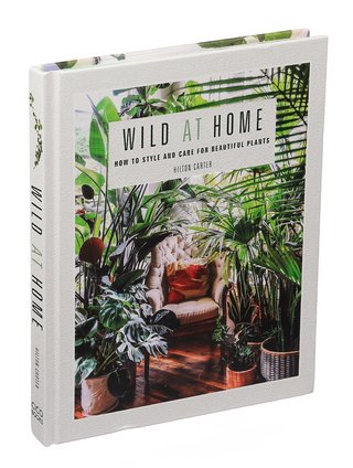 "Wild at Home How to Style and Care for Beautiful Plants" av Hilton Carter
