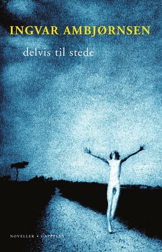 Delvis til stede - noveller