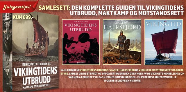 "Den komplette guiden til vikingtidens utbrudd - maktkamp og motstandsrett" av Torgrim Titlestad
