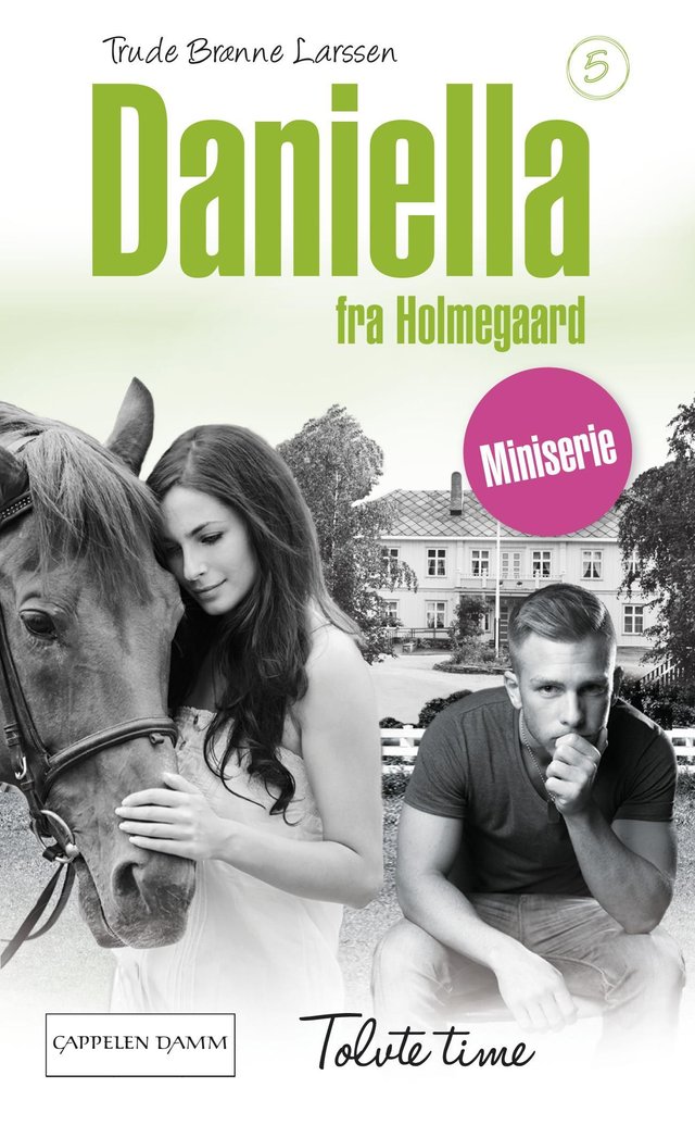 "Tolvte time" av Trude Brænne Larssen