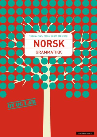 Norsk grammatikk