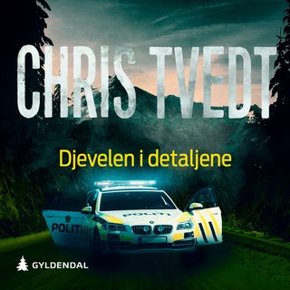 Djevelen i detaljene - kriminalroman