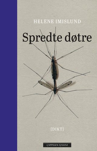 "Spredte døtre" av Helene Imislund