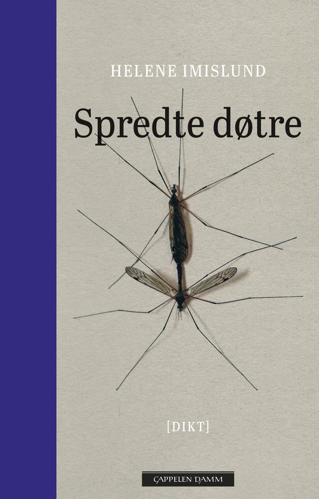 "Spredte døtre" av Helene Imislund