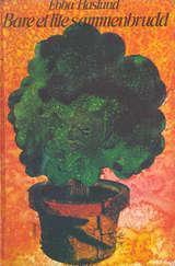 "Bare et lite sammenbrudd" av Ebba Haslund