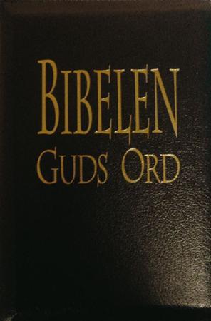 "Bibelen - Guds ord" av Norvald Yri