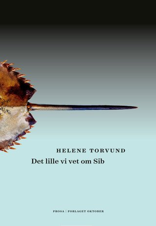 "Det lille vi vet om Sib prosa" av Helene Torvund