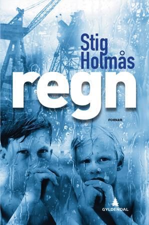Regn - roman