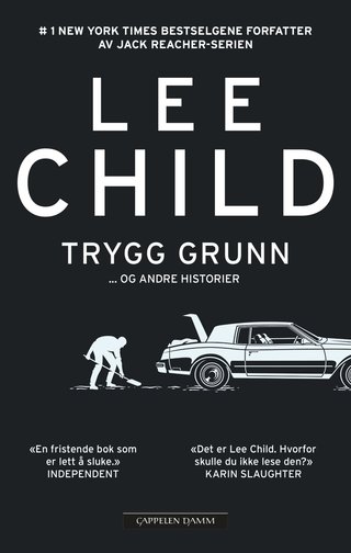 Trygg grunn - og andre historier