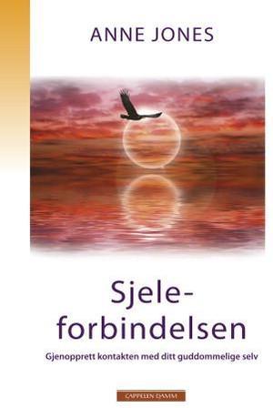 "Sjeleforbindelsen - gjenopprett kontakten med ditt guddommelige selv" av Anne Jones
