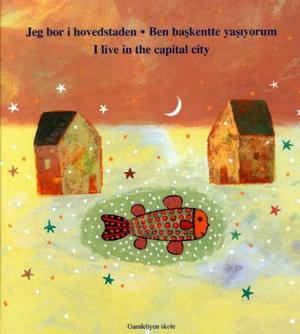"Jeg bor i hovedstaden" av Akin Düzakin