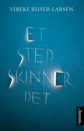 "Et sted skinner det roman" av Vibeke Riiser-Larsen