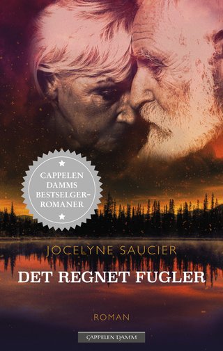 "Det regnet fugler" av Jocelyne Saucier