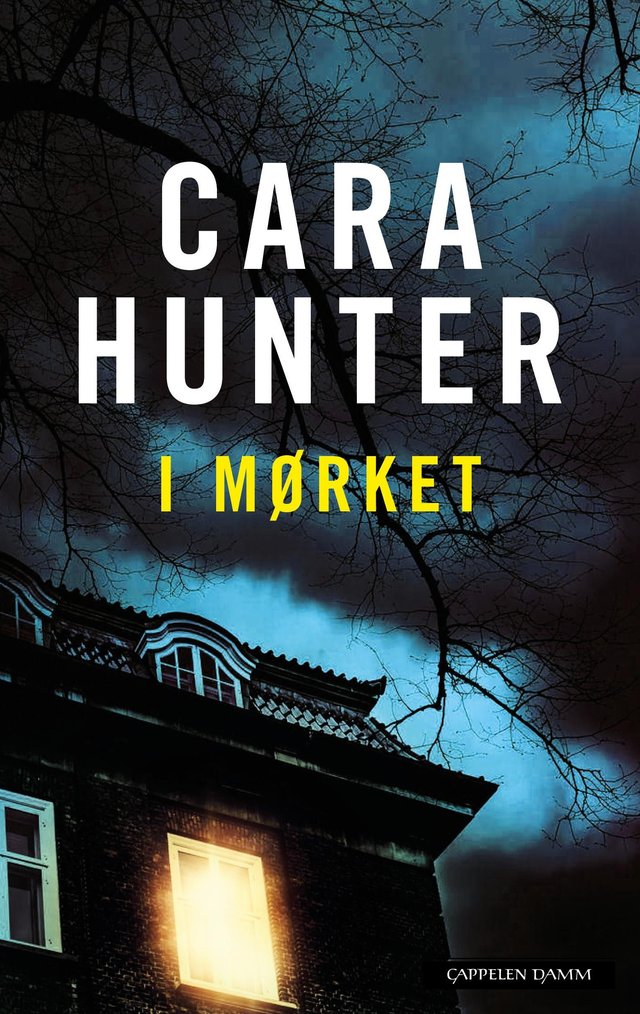 "I mørket" av Cara Hunter