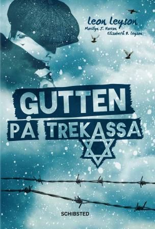 Gutten på trekassa