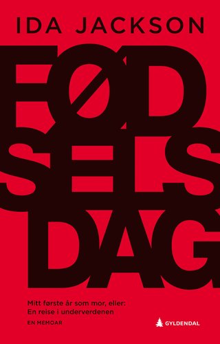 "Fødselsdag - mitt første år som mor, eller En reise i underverdenen" av Ida Jackson