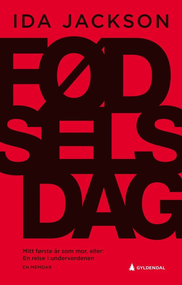 "Fødselsdag - mitt første år som mor, eller En reise i underverdenen" av Ida Jackson