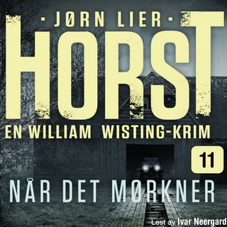 Når det mørkner - kriminalroman