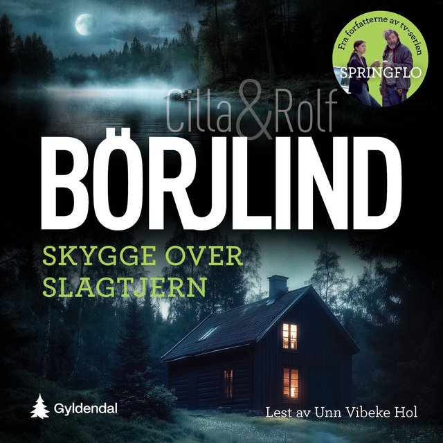 "Skygge over Slagtjern" av Cilla Börjlind