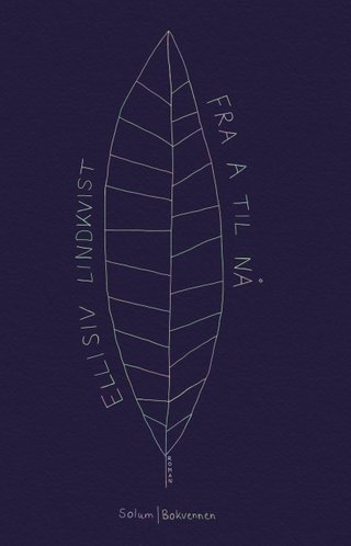 Fra a til nå - roman