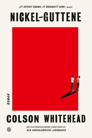 Nickel-guttene - en roman