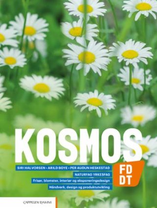 "Kosmos FD, DT" av Siri Halvorsen