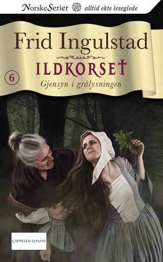 "Gjensyn i grålysningen" av Frid Ingulstad