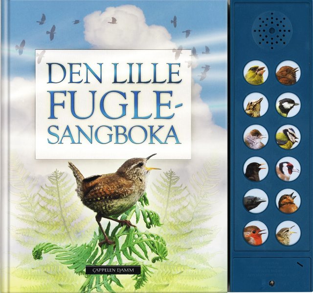 "Den lille fuglesangboka" av Andrea Pinnington