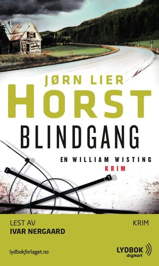 Blindgang - kriminalroman