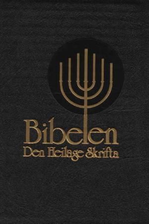 Bibelen - Den heilage skrifta : dei kanoniske skriftene i Det gamle og Det nye testamentet