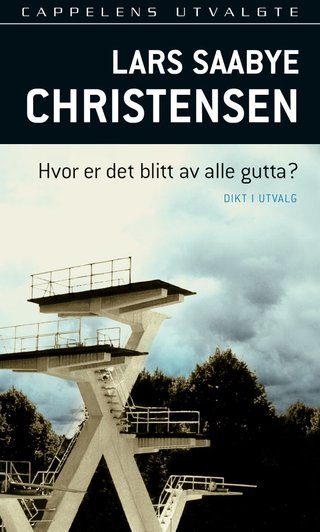 Hvor er det blitt av alle gutta? - dikt i utvalg 1973-90