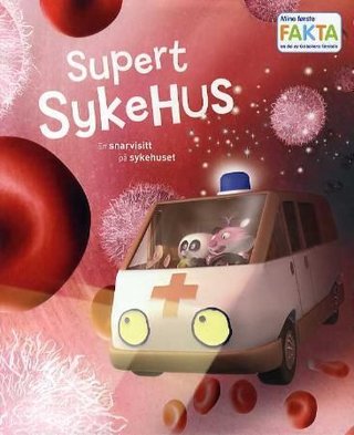 Supert sykehus - en snarvisitt på sykehuset