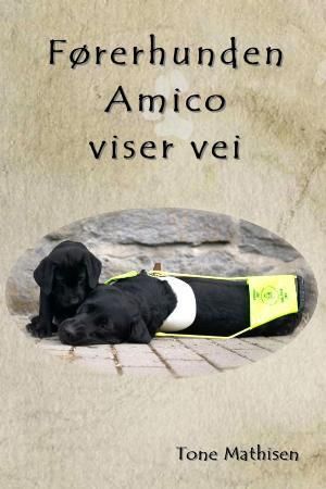 Førerhunden Amico viser vei