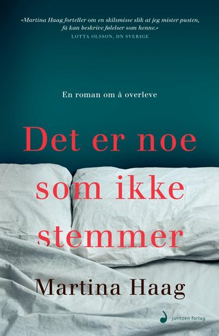 Det er noe som ikke stemmer - roman