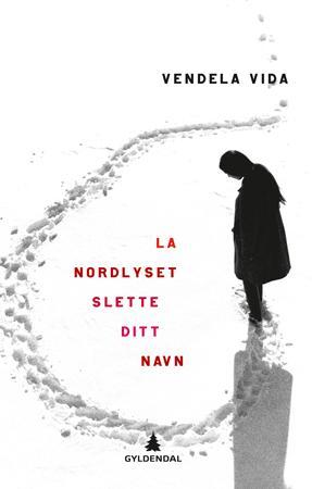 "La nordlyset slette ditt navn" av Vendela Vida