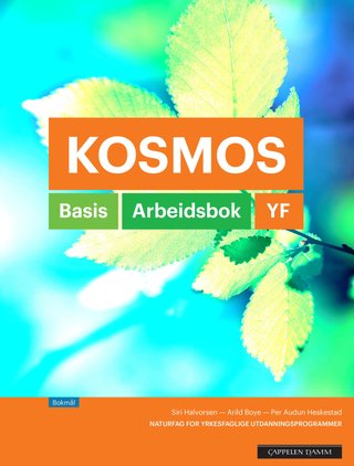 "Kosmos YF" av Siri Halvorsen