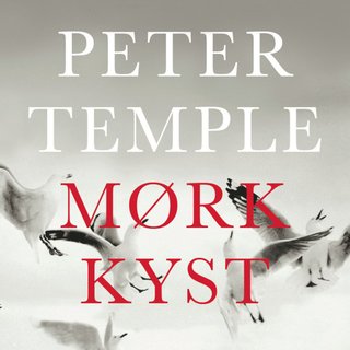 Mørk kyst