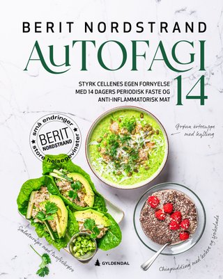 "Autofagi 14" av Berit Nordstrand