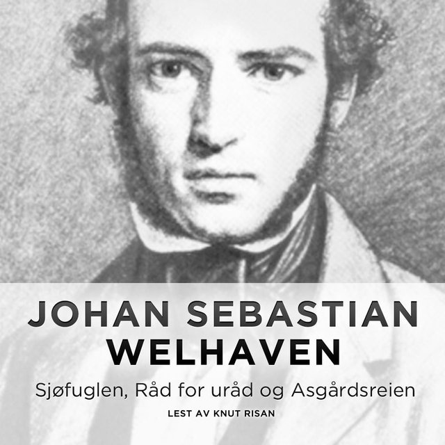 "Sjøfuglen, Råd for uråd og Asgårdsreien" av Johan Sebastian Welhaven