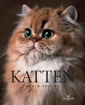"Katten" av David Taylor