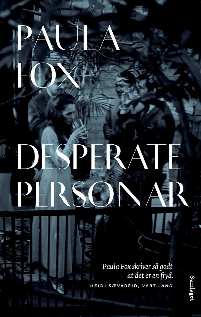 "Desperate personar - roman" av Paula Fox