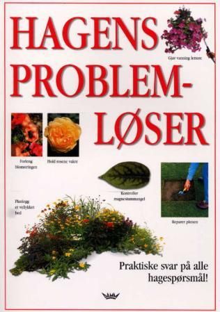 Hagens problemløser
