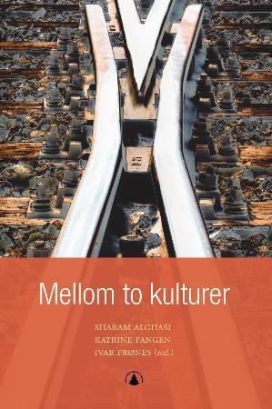 "Mellom to kulturer" av Sharam Alghasi