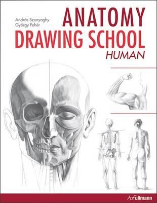 Anatomy drawing school - human body