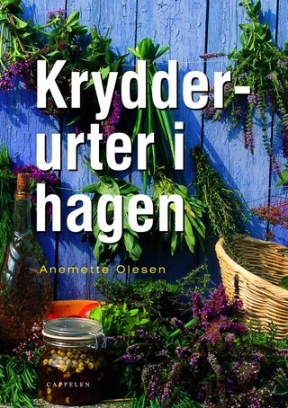 Krydderurter i hagen
