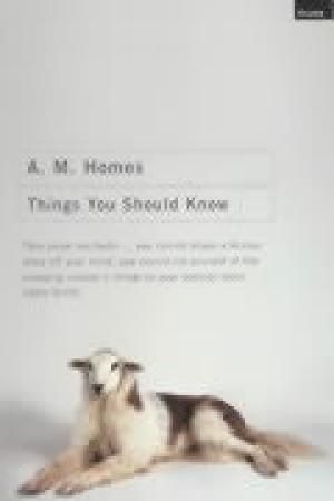 "Things you should know" av A.M. Homes